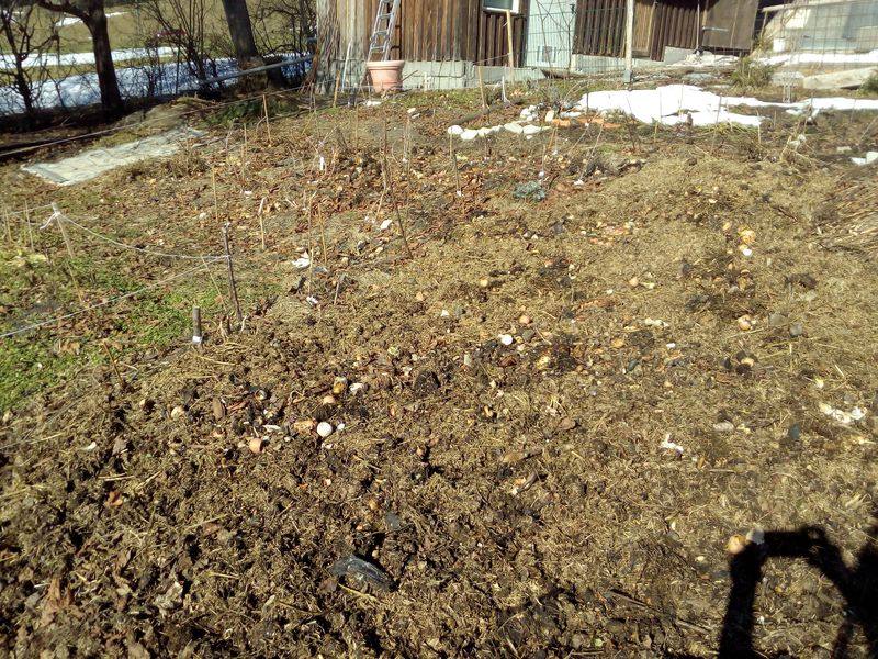 Mulch und Flächenkompostierung