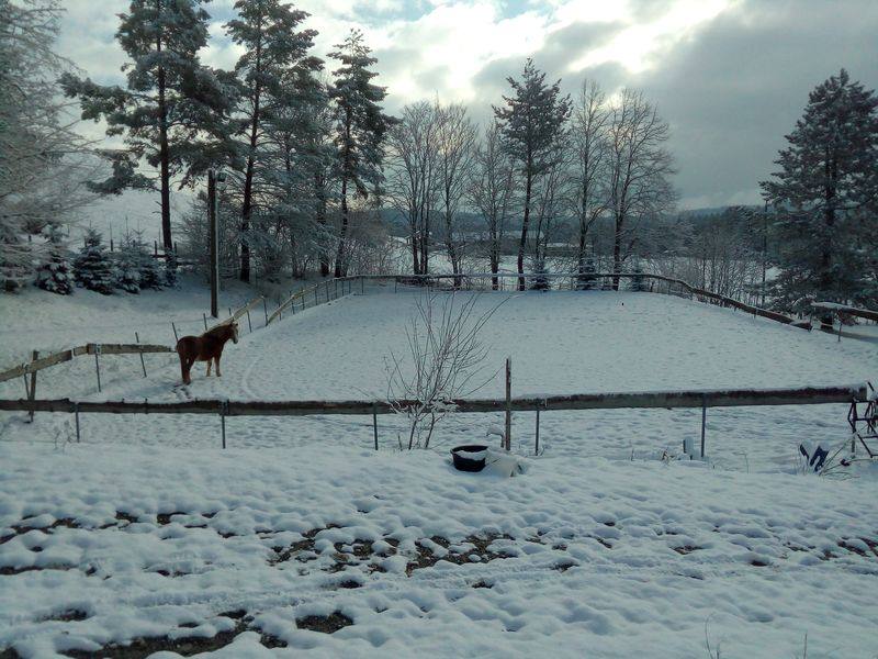 Wintereinbruch auf dem Pferdehof